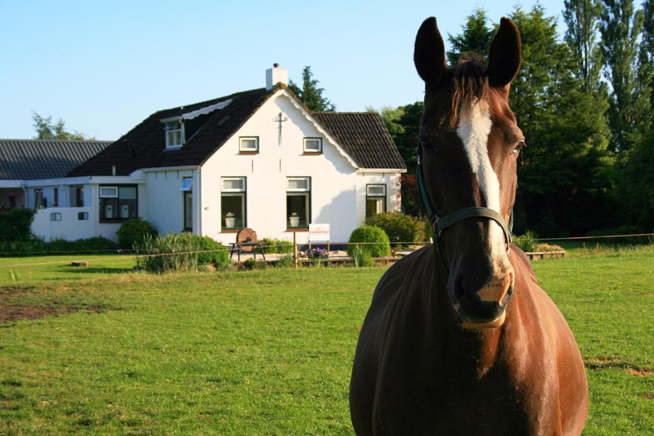 Locatie Het Knooppunt Engelse Chalet Nuis Esterno foto